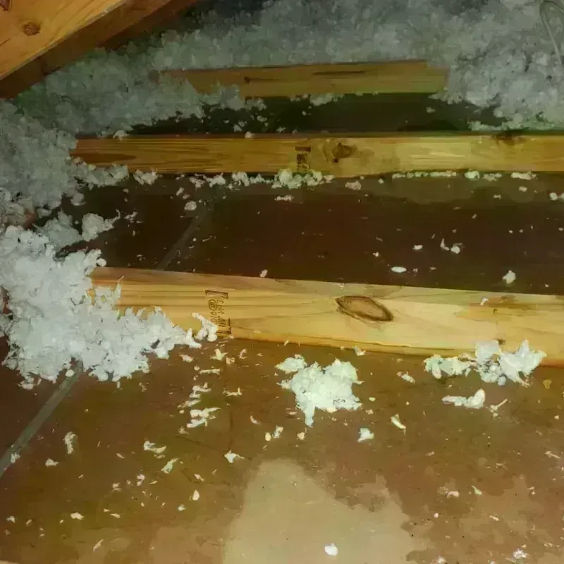 Attic Water Damage in Bessemer, MI