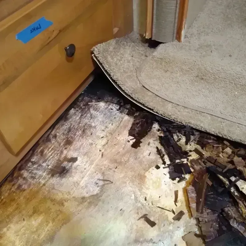 Wood Floor Water Damage in Bessemer, MI